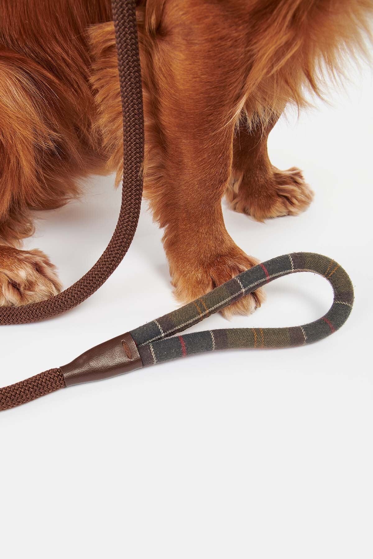 Tartan Leash