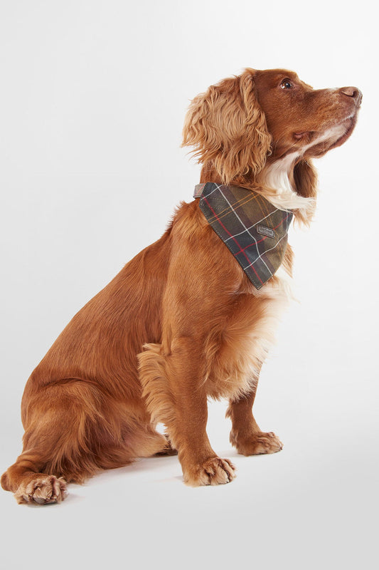 Tartan Dog Bandana