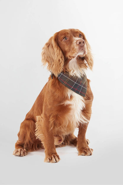 Tartan Dog Bandana